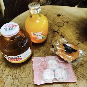 リゾナーレ熱海 森の空中基地 くすくす ツリーハウス