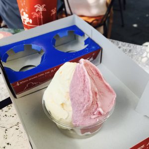 子連れ 1歳 2歳 ディズニーシー 回り方