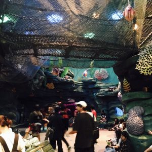 子連れ 1歳 2歳 ディズニーシー 回り方