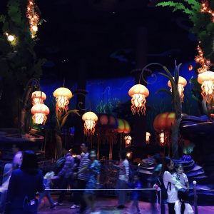 子連れ 1歳 2歳 ディズニーシー 回り方